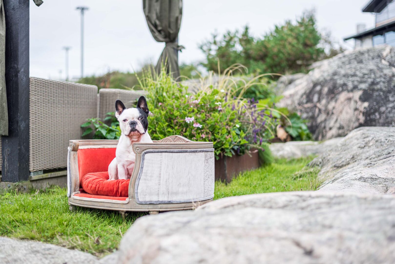 På vårt hundvänliga hotell får givetvis er älskling en egen hundsäng