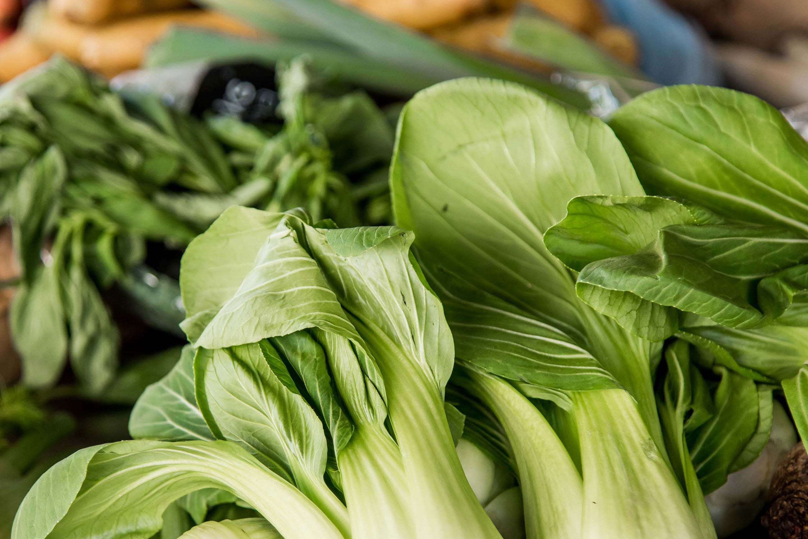 grönsaker generation waste